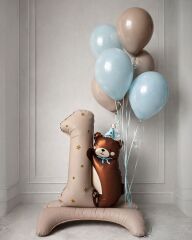 1 Yaş Teddy Balon Kit