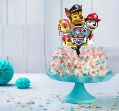 Paw Patrol Pasta Süsü