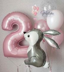 2 Yaş Tavşan Balon Demeti