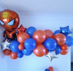 Spiderman İdeal Konsept