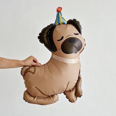 Şapkalı Köpek Folyo Balon