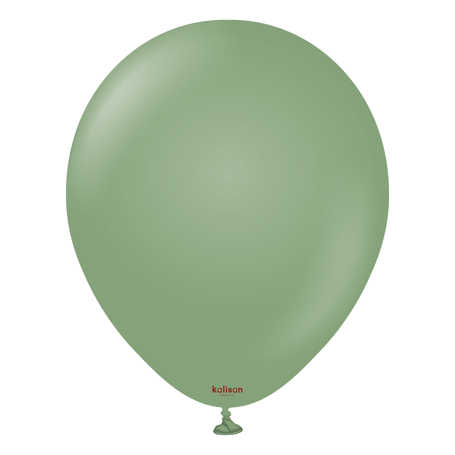 BÜYÜK OKALİPTÜS BALON 1 ADET