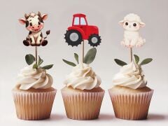 Çitlik Teması Kürdan 8 Adet