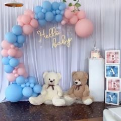 Cinsiyet Parti Konsept - 2