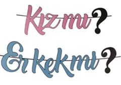 İtalik Kız Mı Erkek Mi Banner