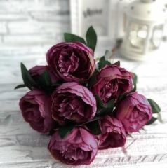 Mürdüm Şakayık Çiçeği 1 Adet