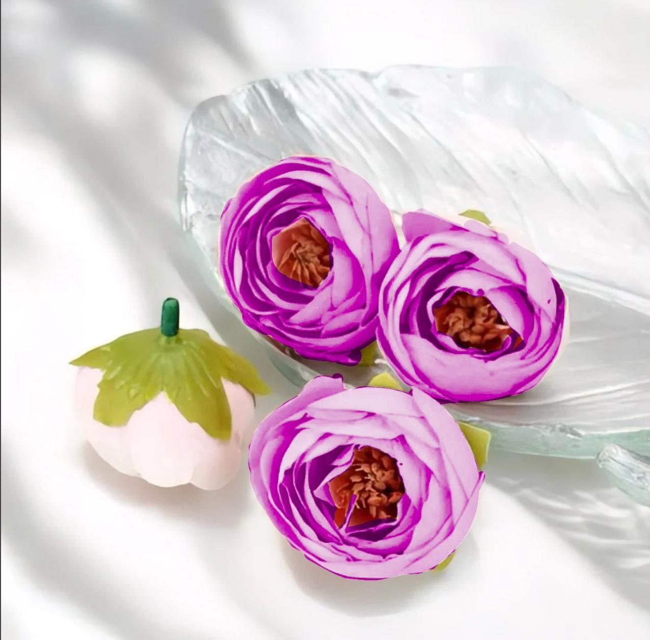 4cm Pembe Kafa Şakayık 3 Adet