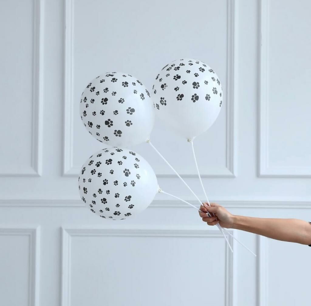 Pati Temalı Lateks Balon 5 Adet