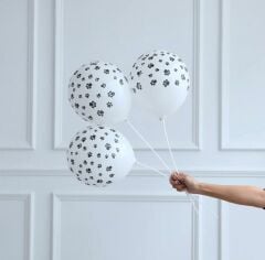 Pati Temalı Lateks Balon 5 Adet