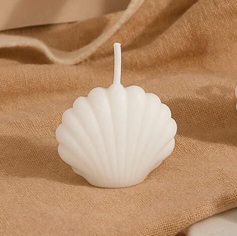 25 Adet Mini Deniz Kabuğu Mum