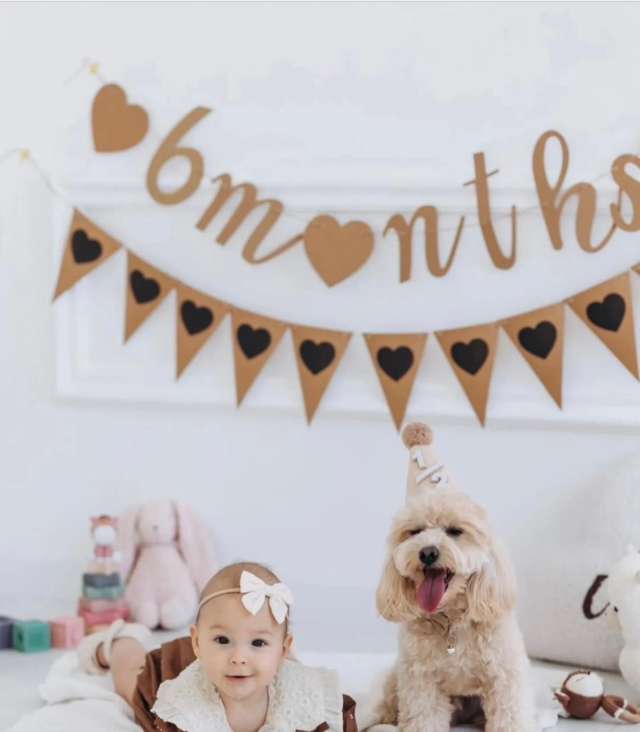 6 Months Ve Bayrak Flama Kit