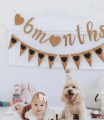 6 Months Ve Bayrak Flama Kit