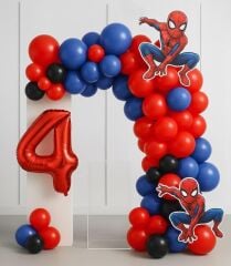 Spiderman Elite Konsept