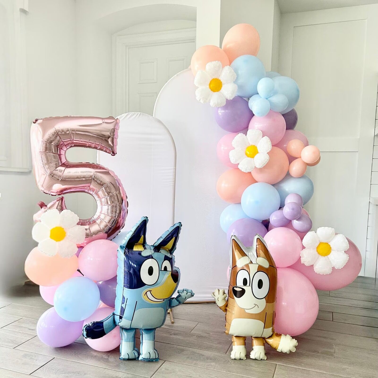 Bluey Ve Bingo Konsept