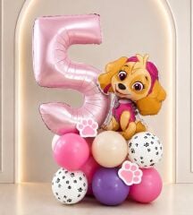 Paw Skye Rakam Kit