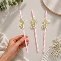 Ünicorn Fiğürlü Kağıt Pipet 10 Adet