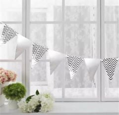 GÜMÜŞ FLAMA ( 2 METRE )