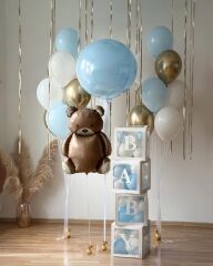 Baby Bear Konsept