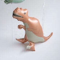 Rose Dinazor Folyo Balon