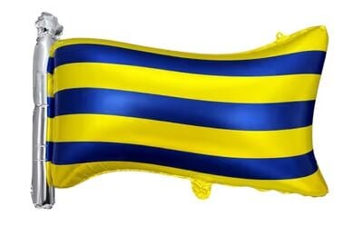 Fenerbahçe Bayrak Folyo Balon