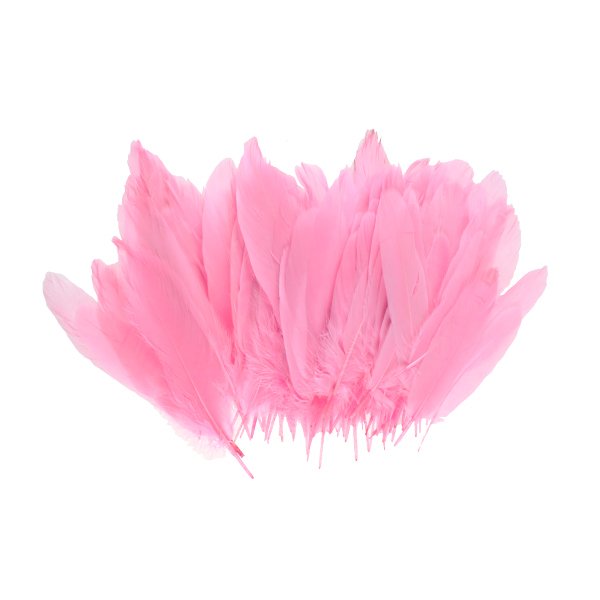 Pembe Renk Kuş Tüyü