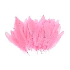 Pembe Renk Kuş Tüyü